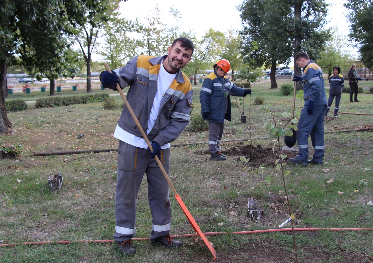 Эко-акция «Зеленый город»: волонтеры ДТЭК Энерго высадили в регионах 600 деревьев
