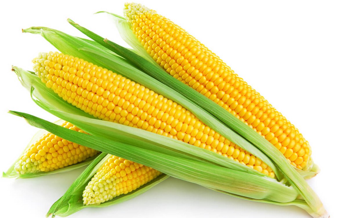 УЗА вітає рішення Уряду щодо необмеження експорту кукурудзи