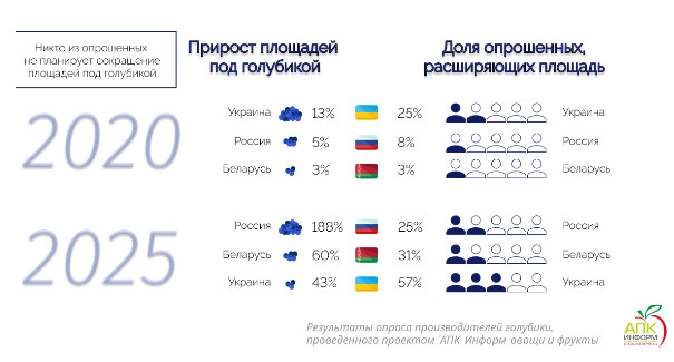 Полный анализ рынка голубики высокорослой в Украине, России и Беларуси будет доступен через две недели!