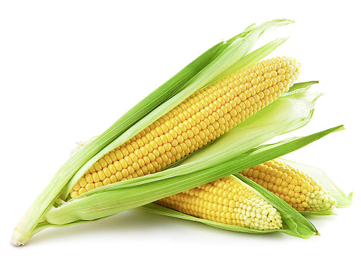 Урожай кукурудзи в Україні поки оцінюється в 35 млн тонн