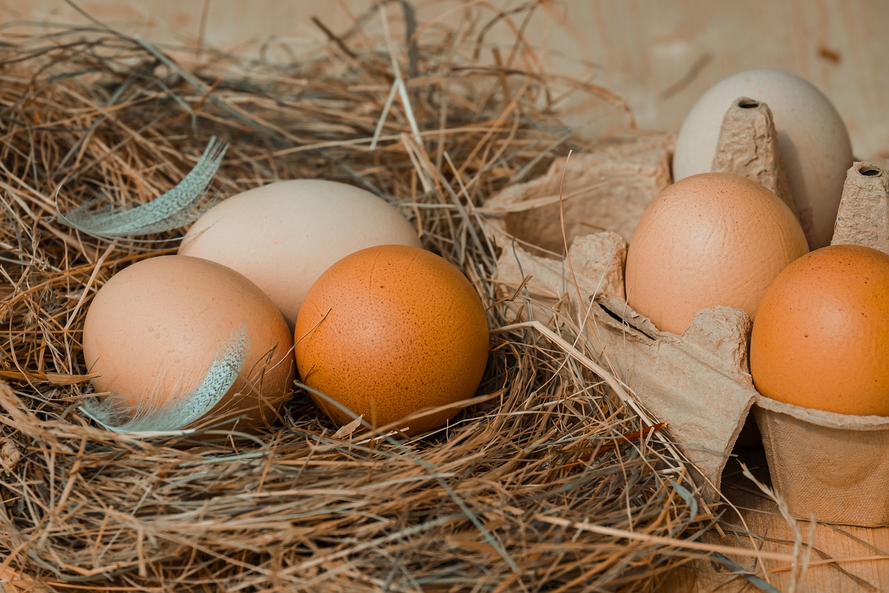 Овостар Юнион сократила продажи яиц на 10,5%