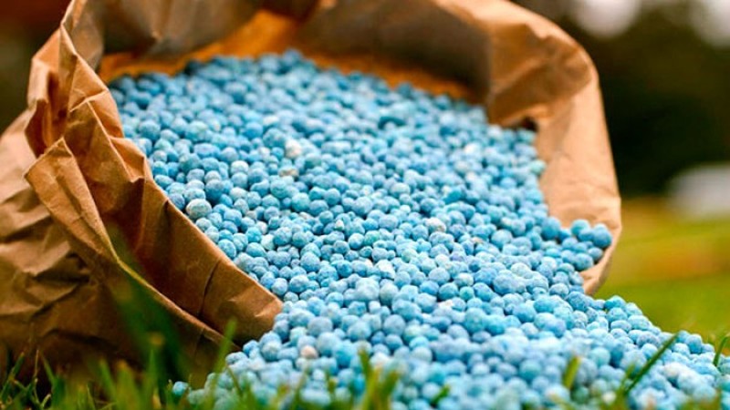 Предприятие «Азот» увеличило производство азотных минудобрений на 10,4%