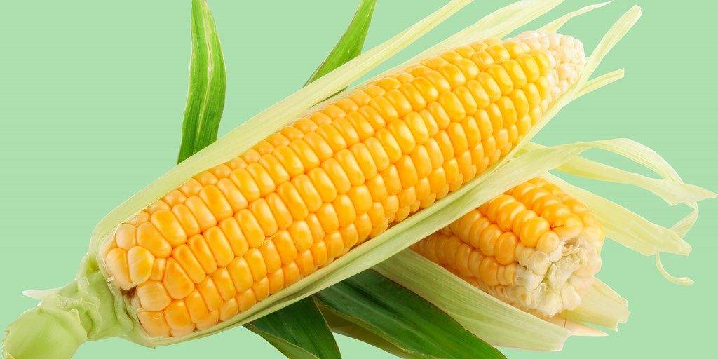 Украинская кукуруза дешевеет из-за слабого спроса