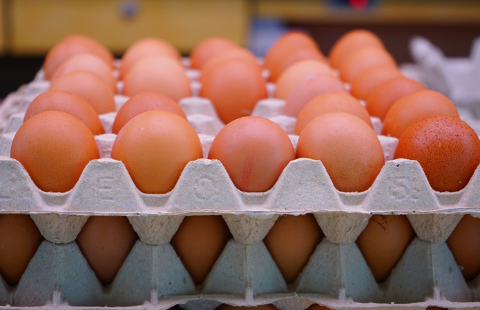 Овостар увеличил производство яиц на 5%