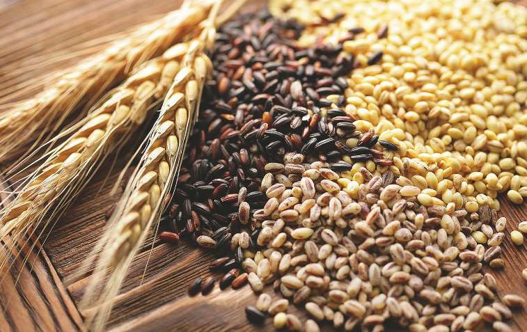 Експорт української кукурудзи перевищив 17,2 млн тонн