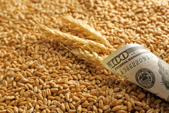 Украина с начала сезона экспортировала более 4,5 млн тонн зерна