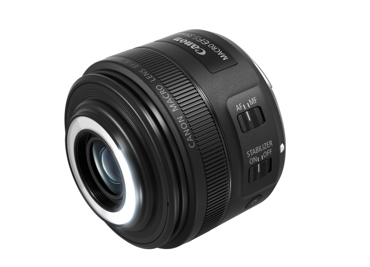 Об’єктив Canon EF-S 35mm f/2.8 Macro IS STM – детальні макрознімки та знімки великим планом