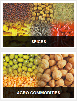 Экспортер дня - Universal Agro Commodities (Индия)