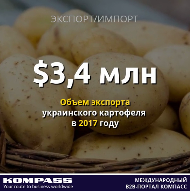Экспорт украинского картофеля вырос в 3,5 раза