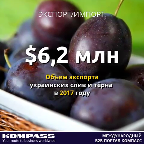Украина установила рекорд по экспорту слив