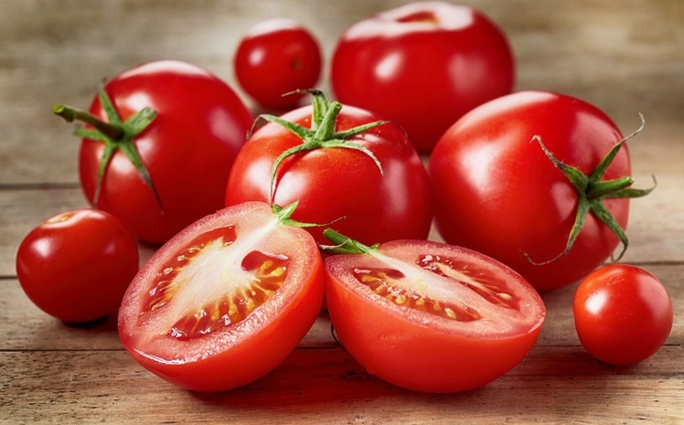 Украина может экспортировать тепличные томаты в ОАЭ и Саудовскую Аравию летом