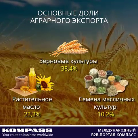 Український аграрний експорт перевищив $18,8 млрд за результатами 2018 року
