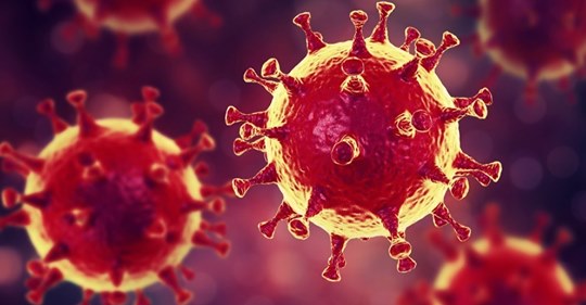 В Україні розробили власну тест-систему на коронавірус