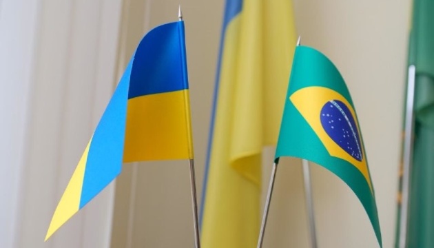 Товарообіг між Україною та Бразилією зріс на 21,5%