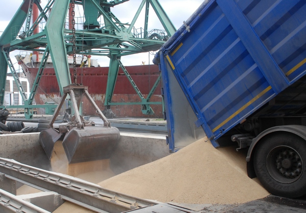 В Украине вырос экспорт продуктов переработки масличных культур