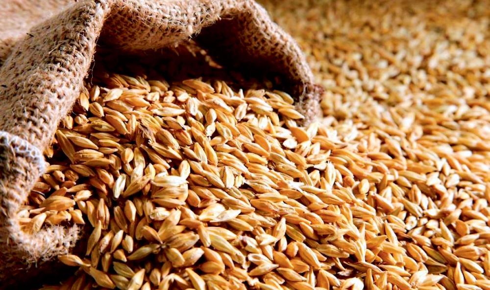 В Україні вже зібрано понад 53 млн тонн зерна