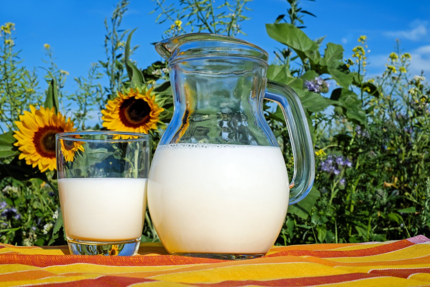 Українські промислові підприємства збільшили виробництво молока