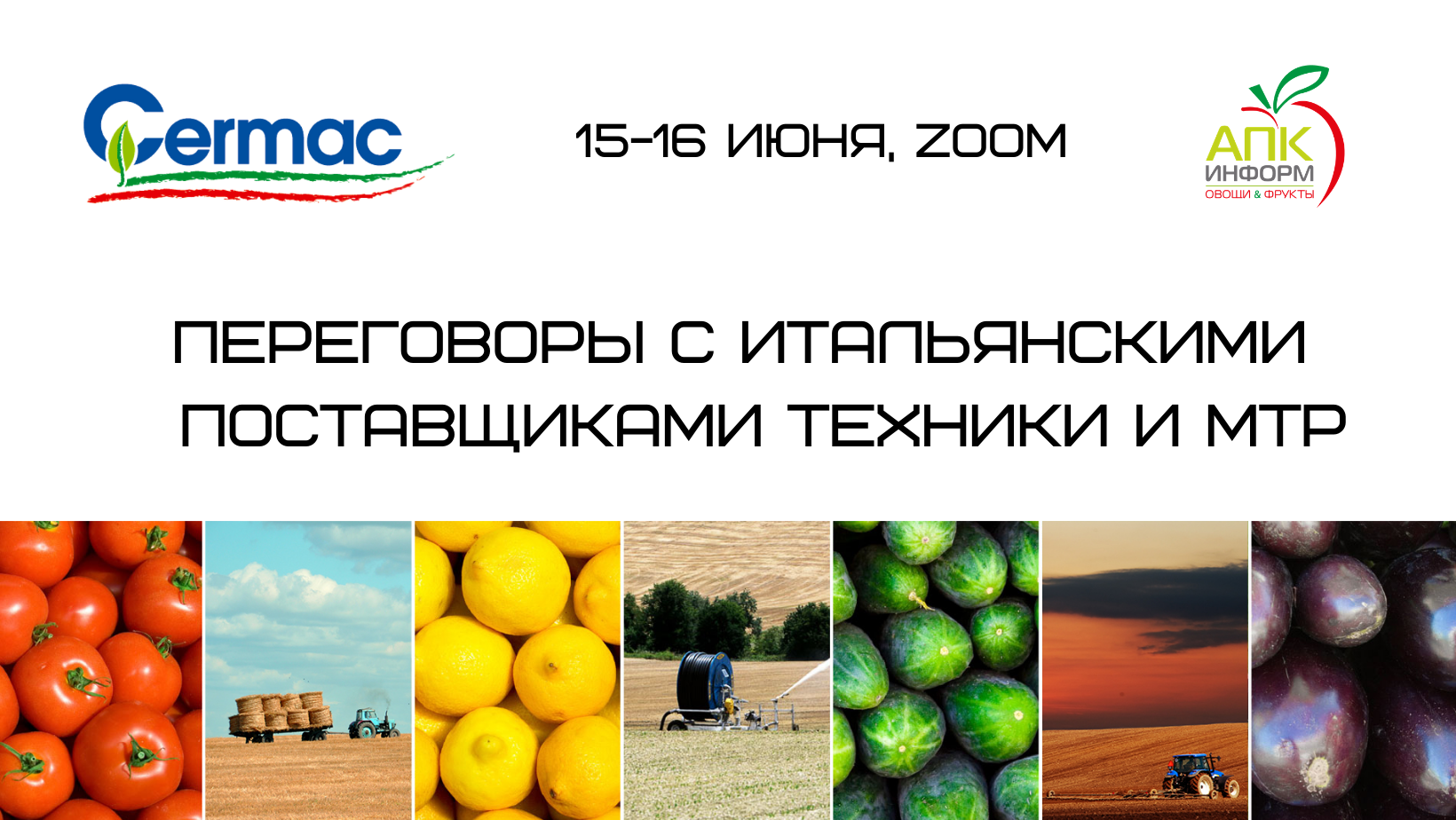 15-16 июня. Zoom. Встречи с итальянскими компаниями Cermac