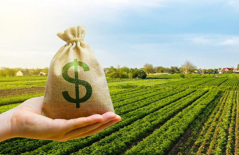 Почему инвестировать в агросектор становится выгодно