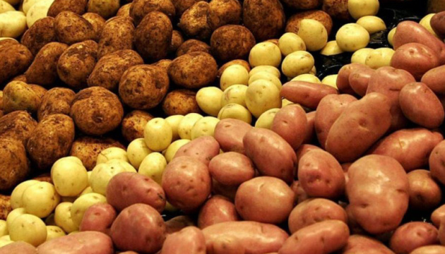 Білорусь купує картоплю з України
